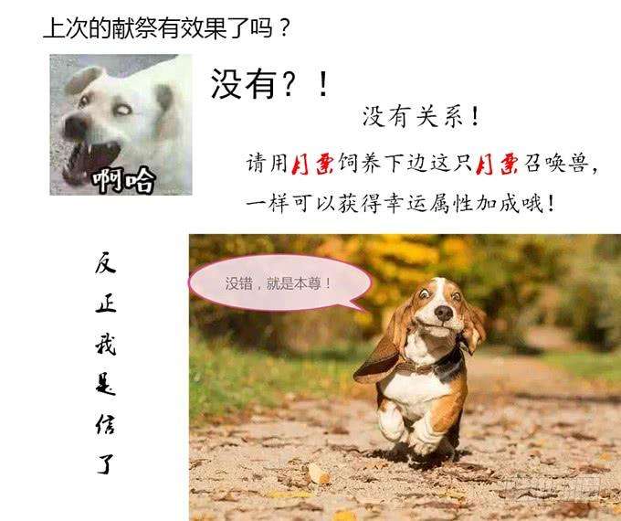 85.jpg