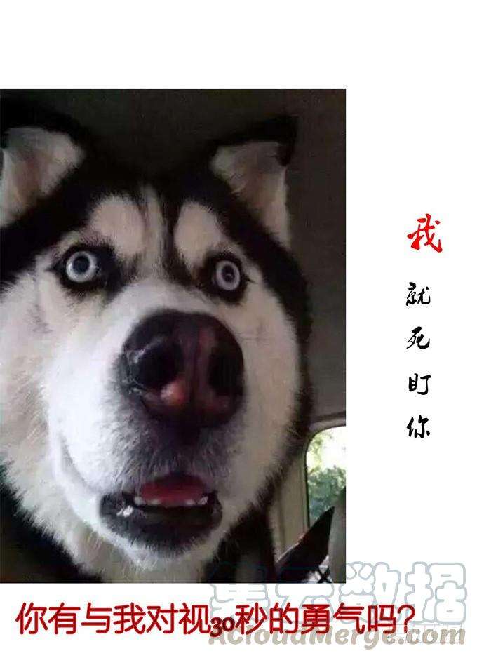 71.jpg