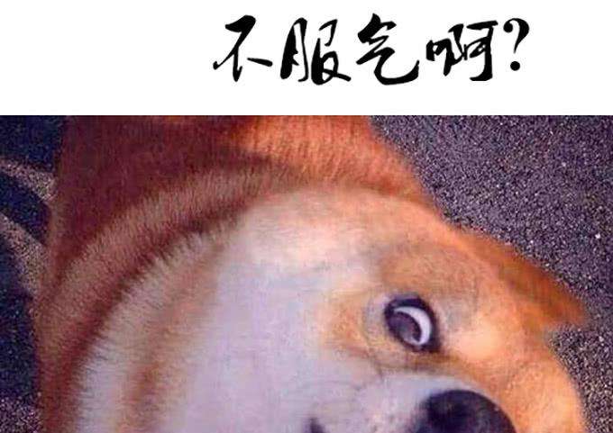 92.jpg