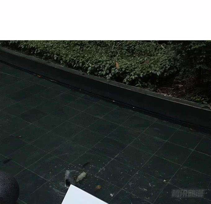 84.jpg