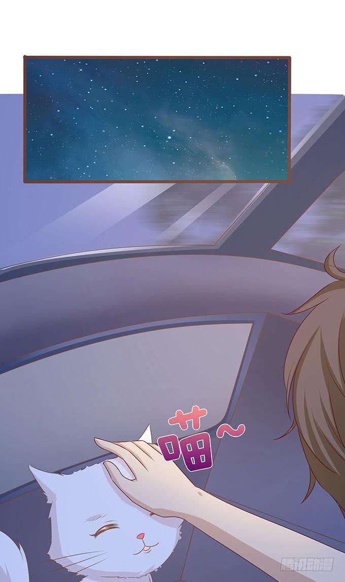 43.jpg