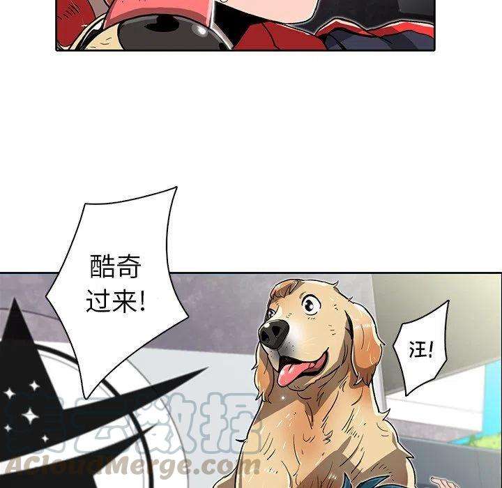 49.jpg