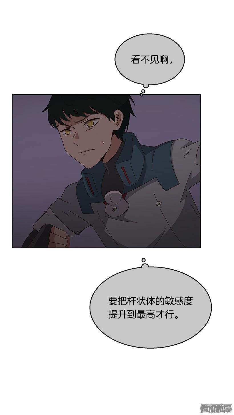39.jpg