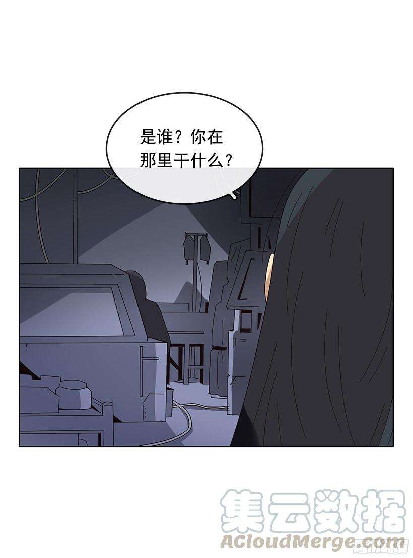 41.jpg
