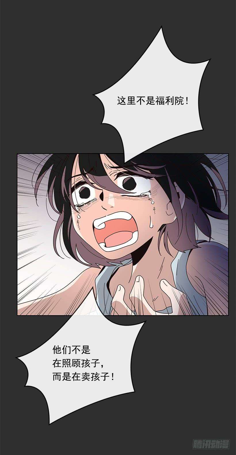 48.jpg