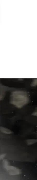 486.jpg