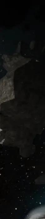 351.jpg