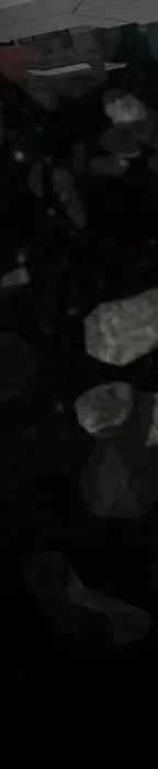 343.jpg