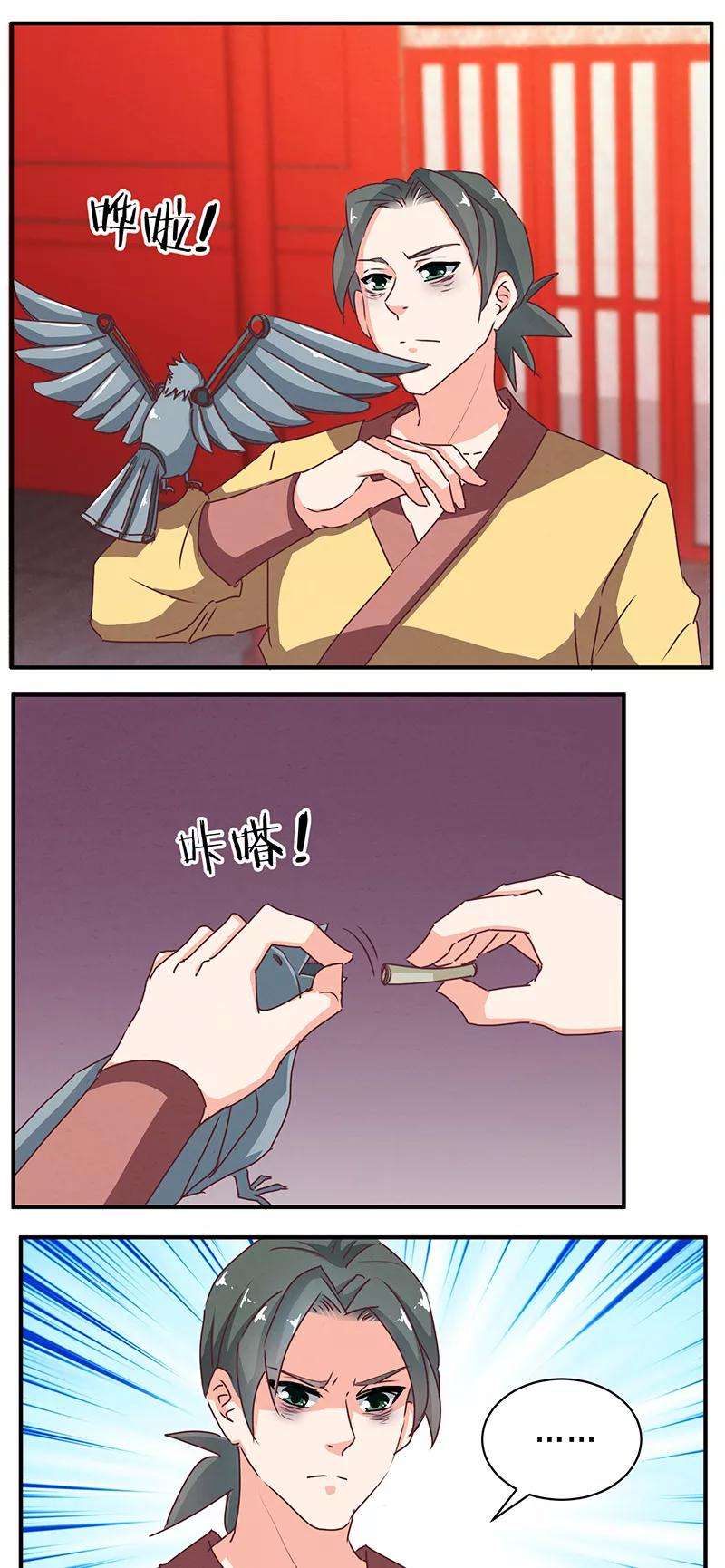 15.jpg