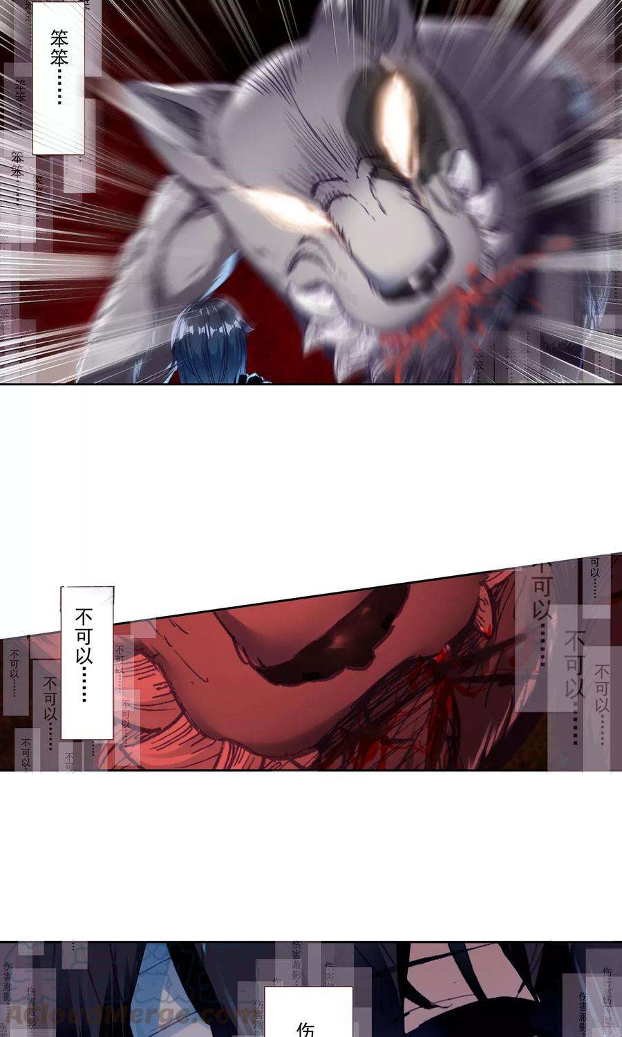 41.jpg
