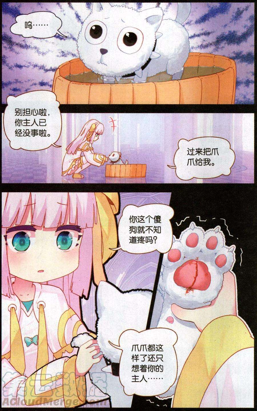 11.jpg