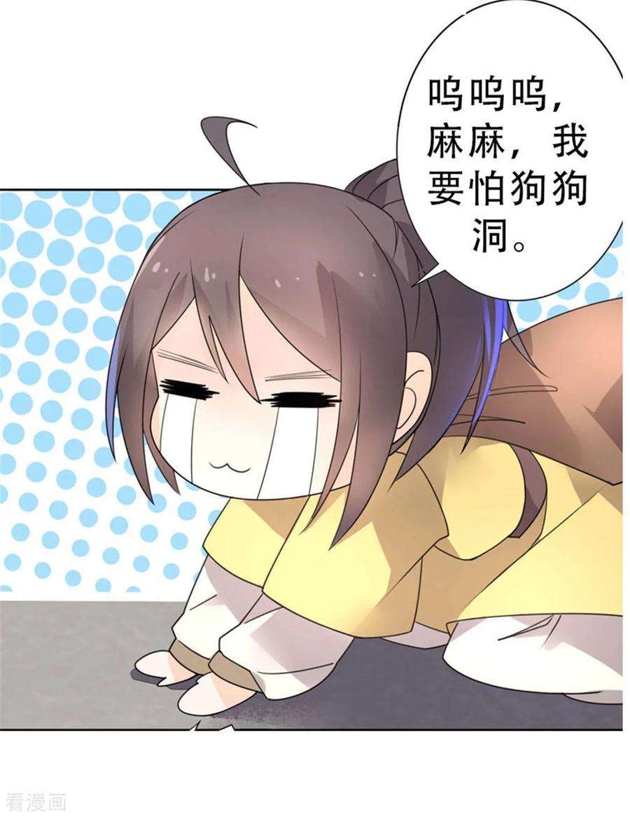29.jpg