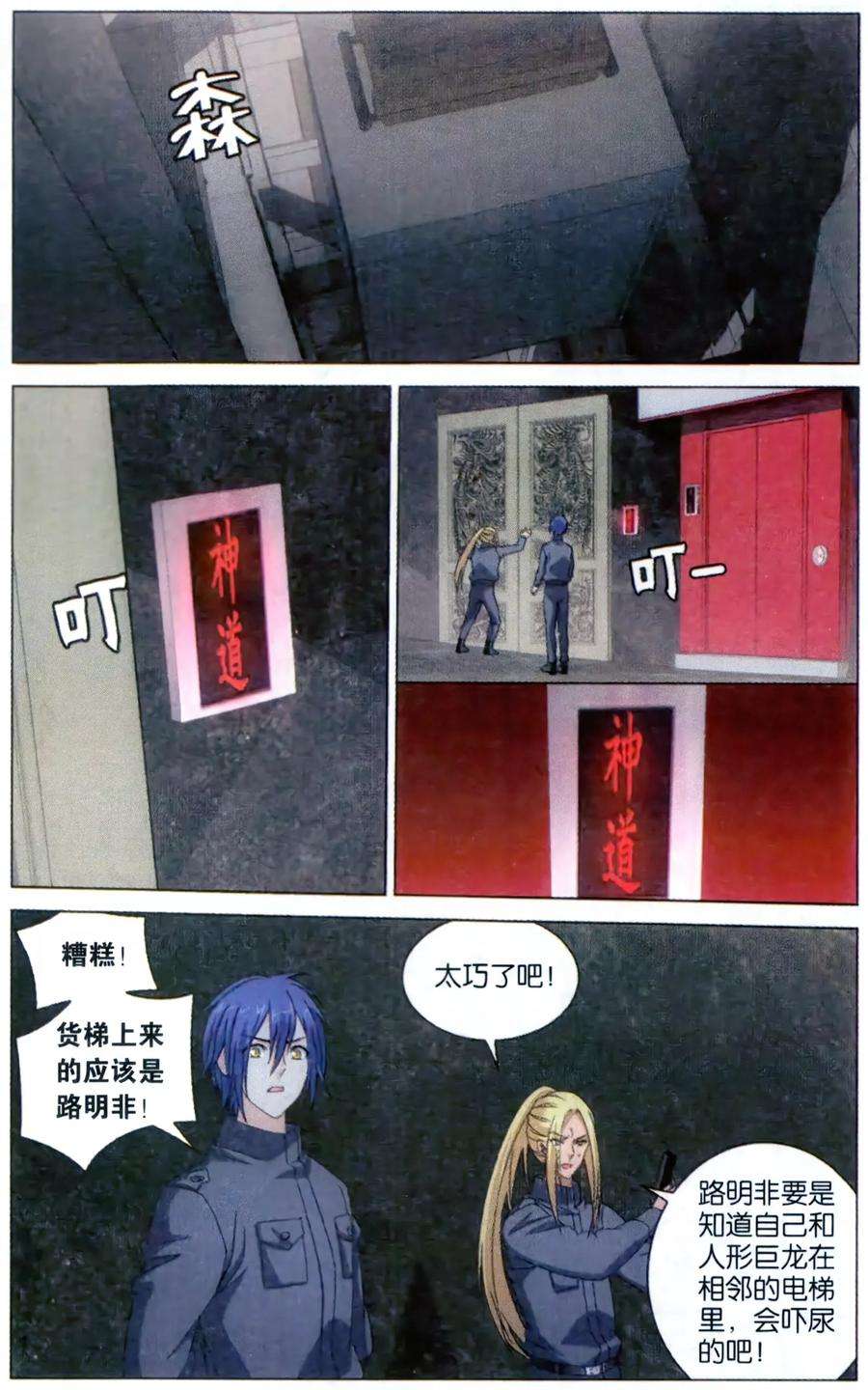 5.jpg