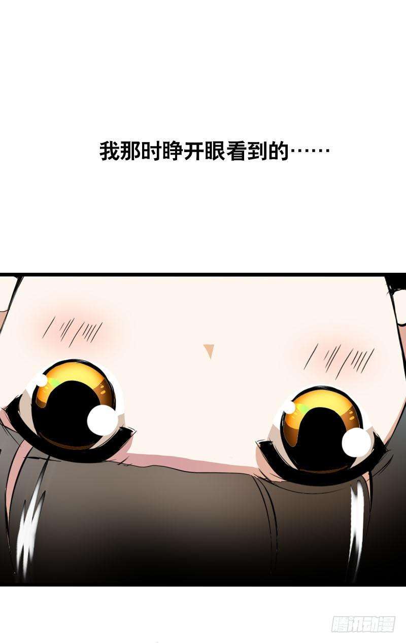 95.jpg