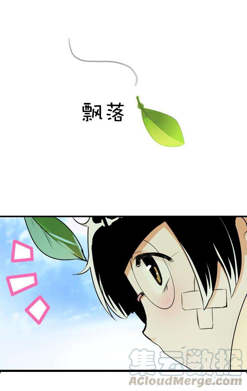 21.jpg
