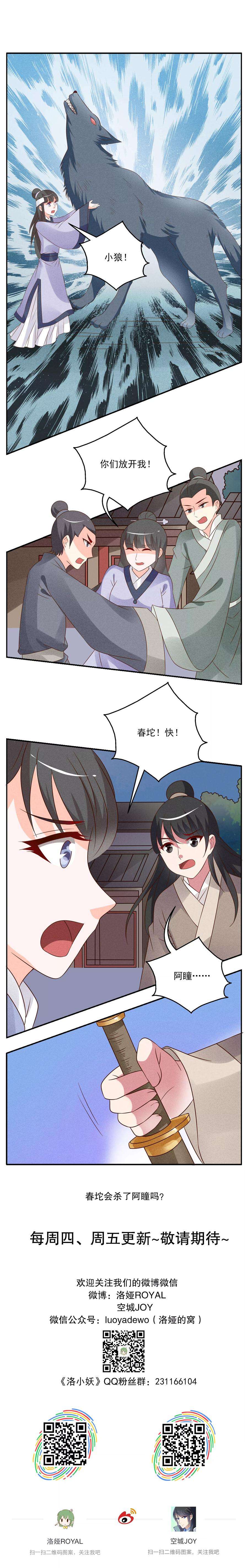 6.jpg