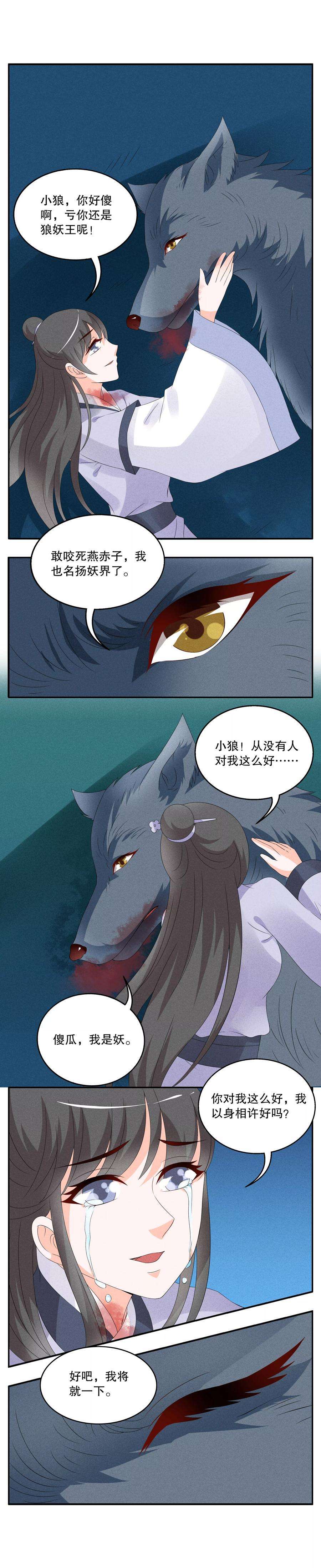 5.jpg