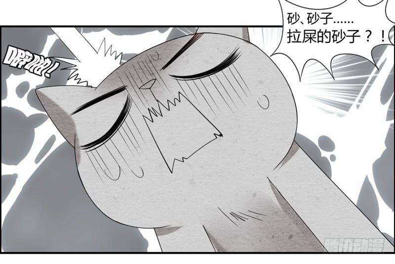 35.jpg