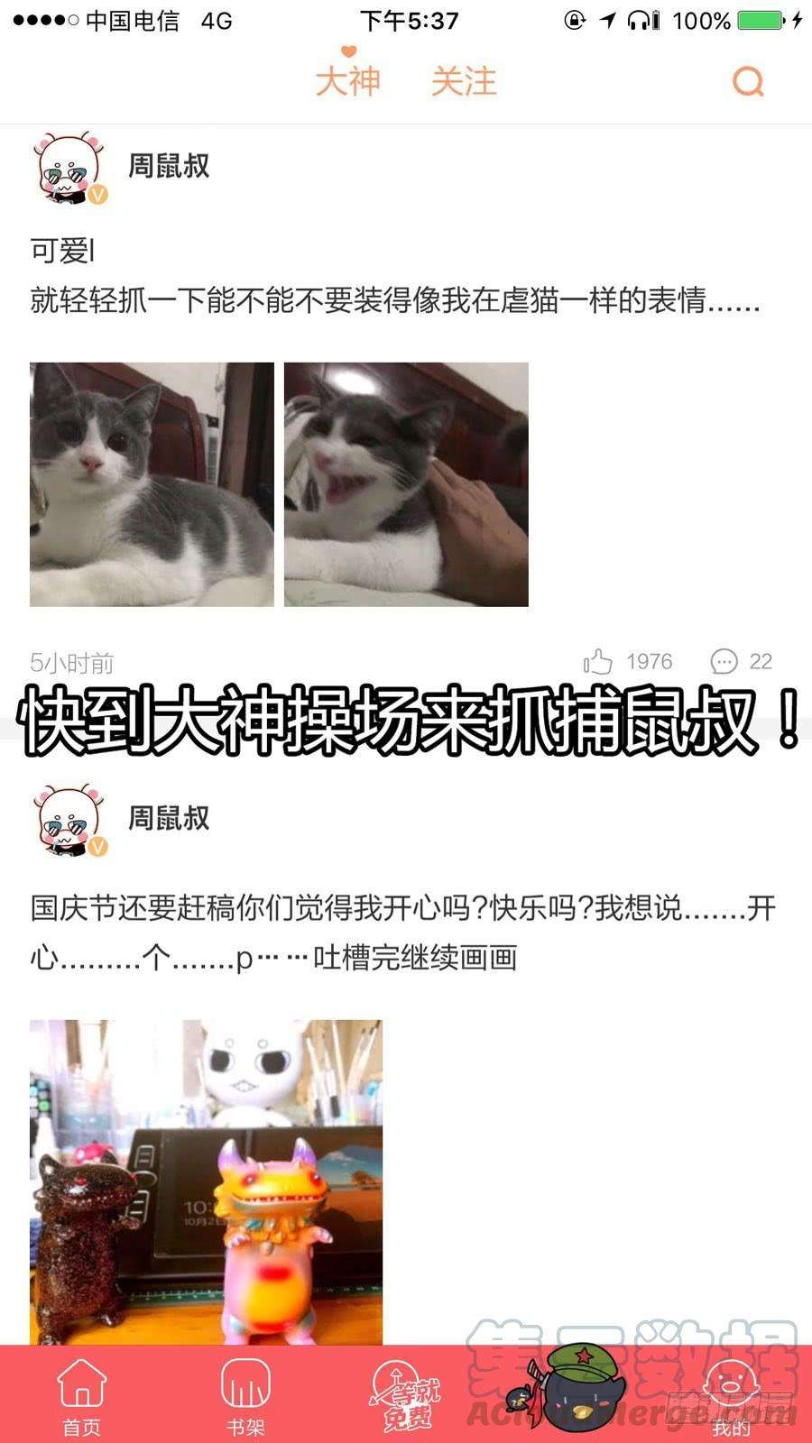 51.jpg
