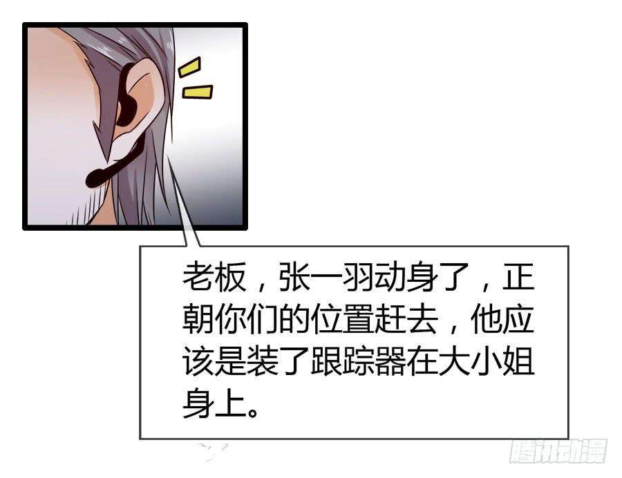 43.jpg
