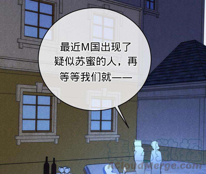 65.jpg