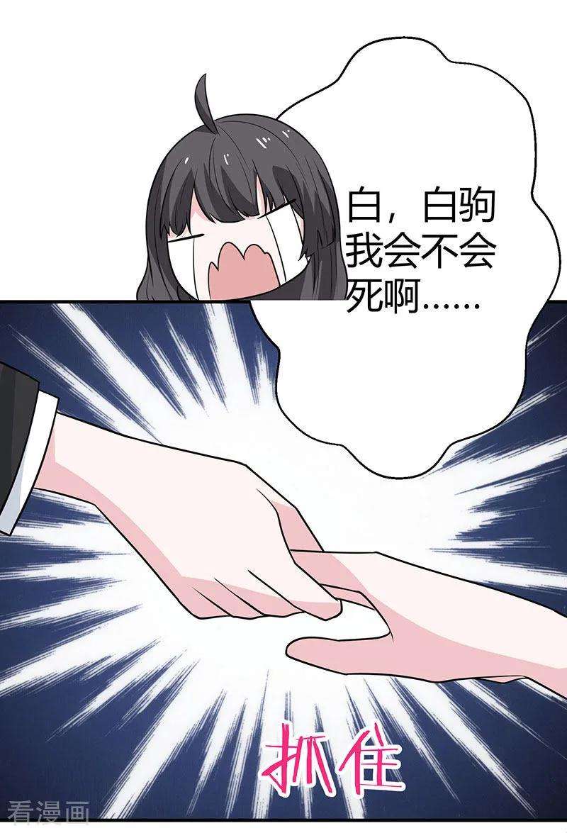 23.jpg