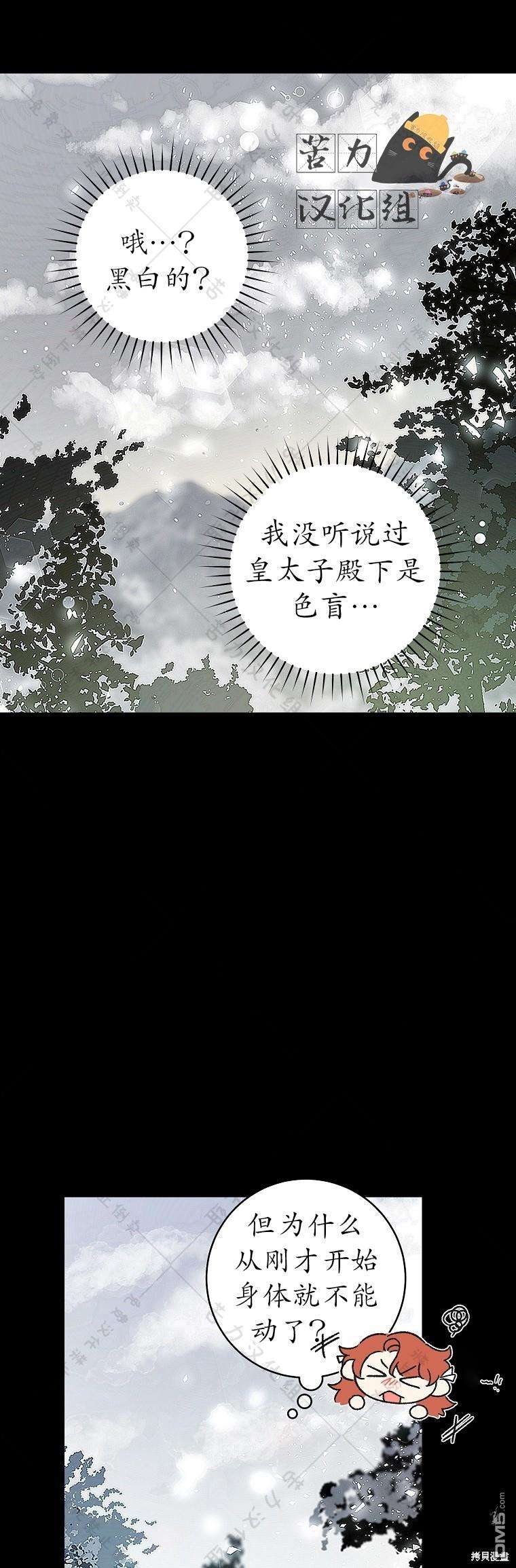 15.jpg