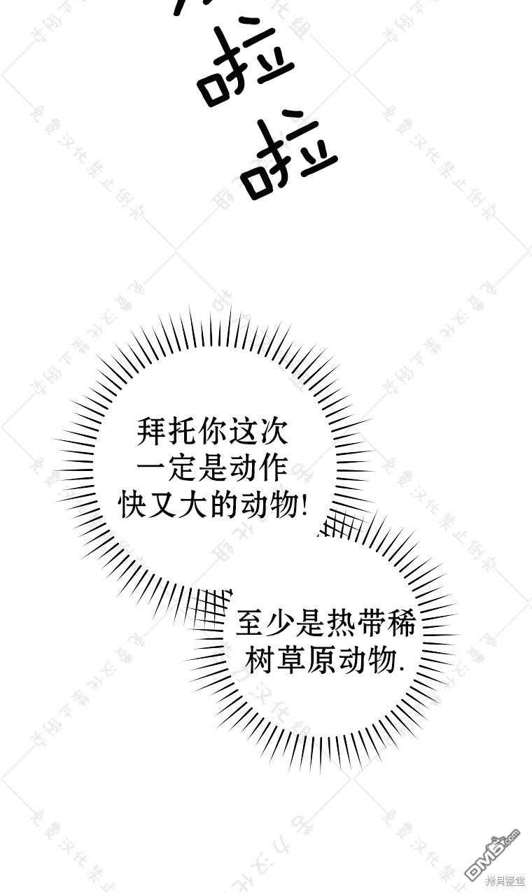 62.jpg