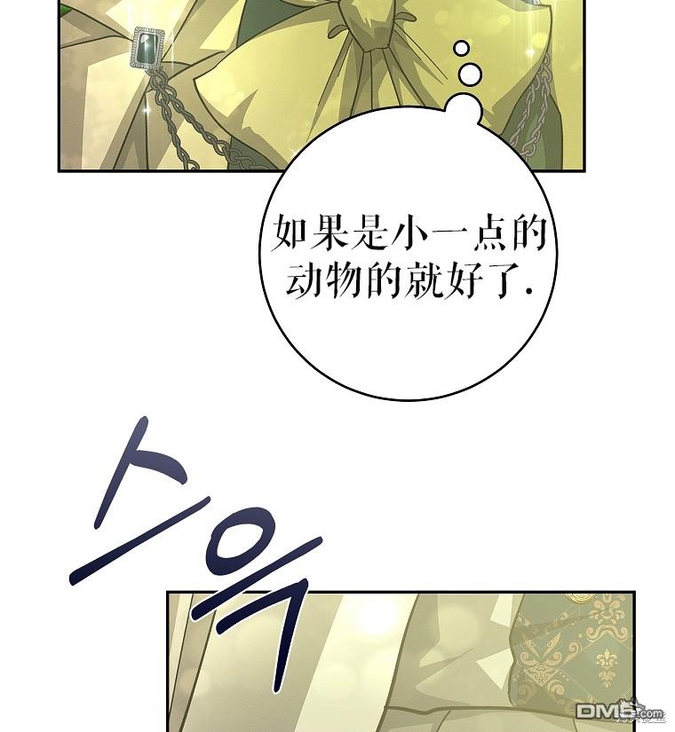 54.jpg