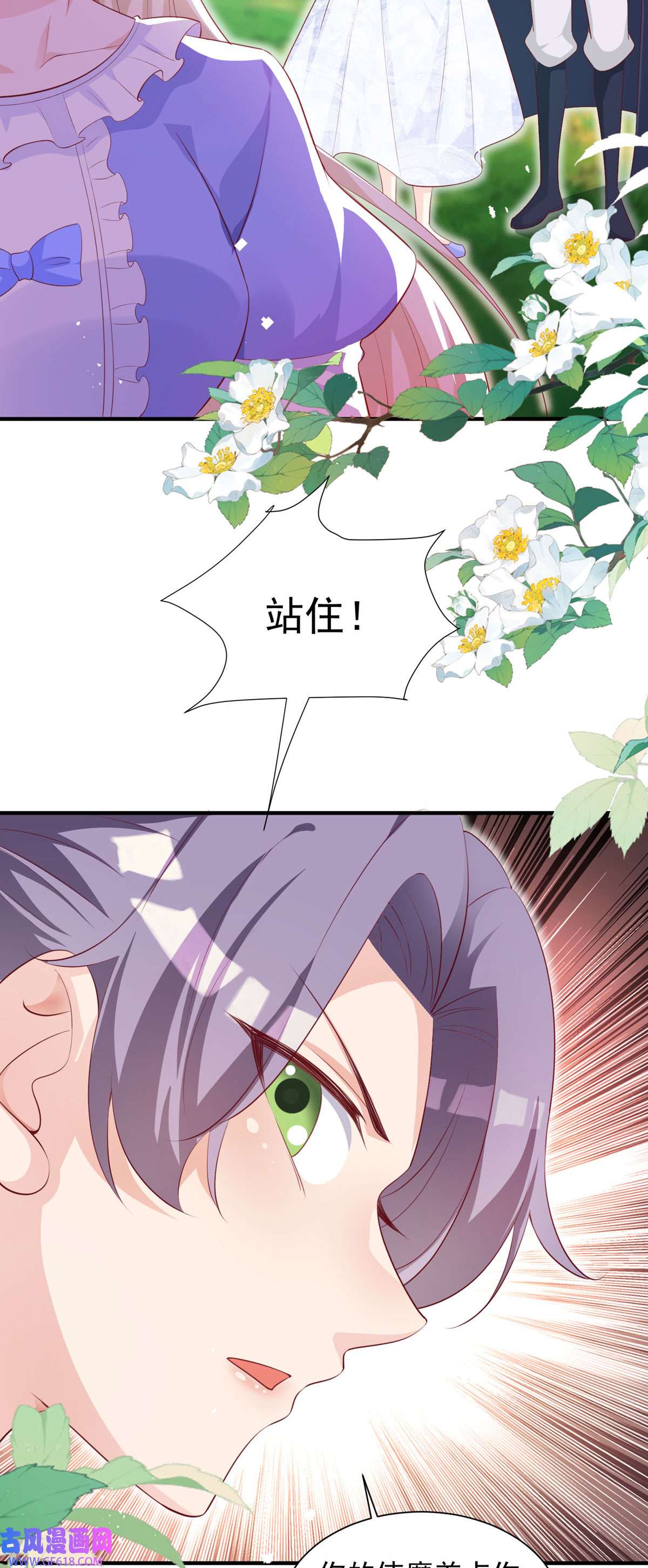 15.jpg