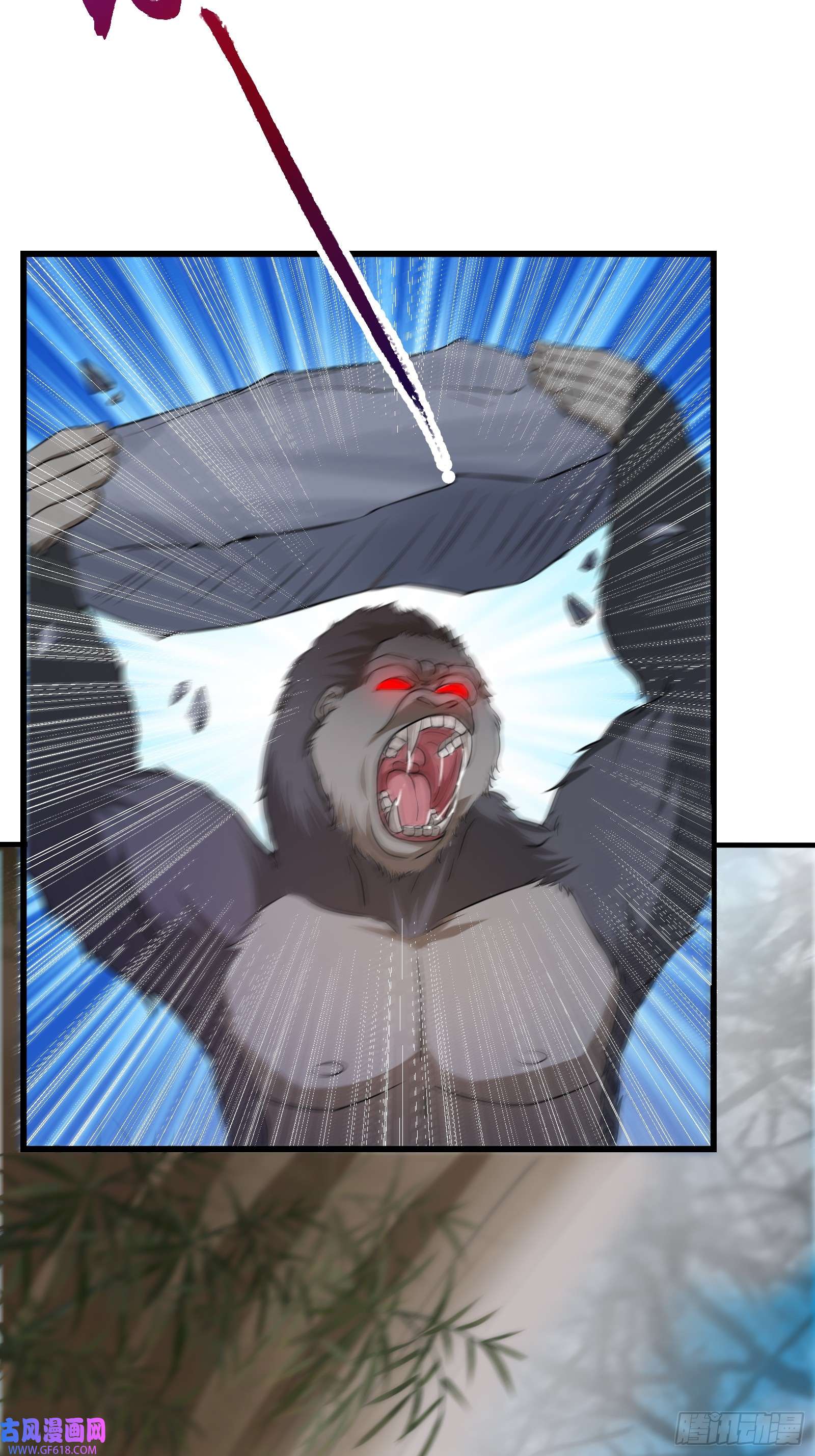 41.jpg