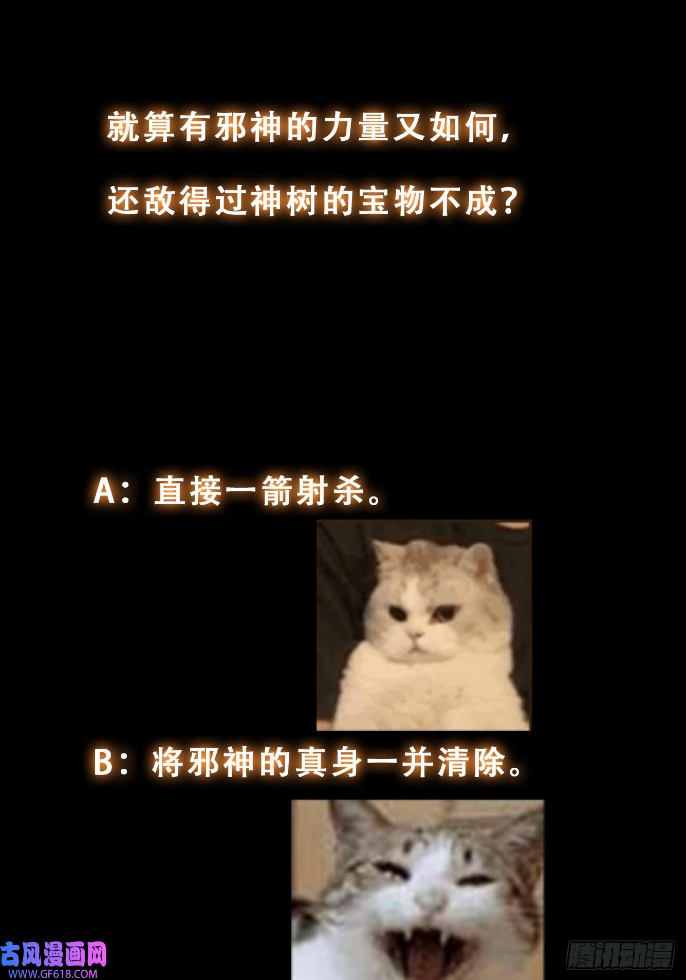 35.jpg