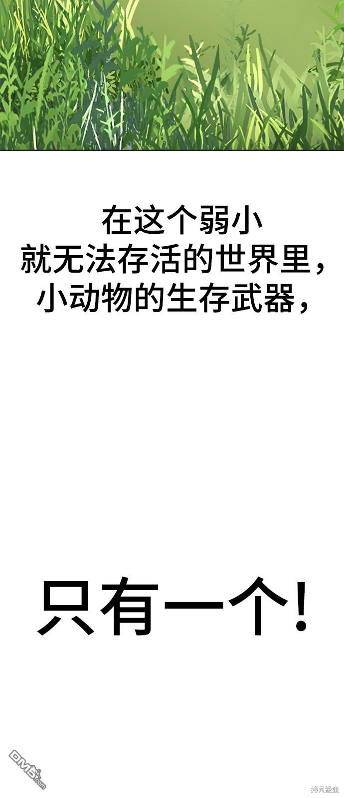 51.jpg