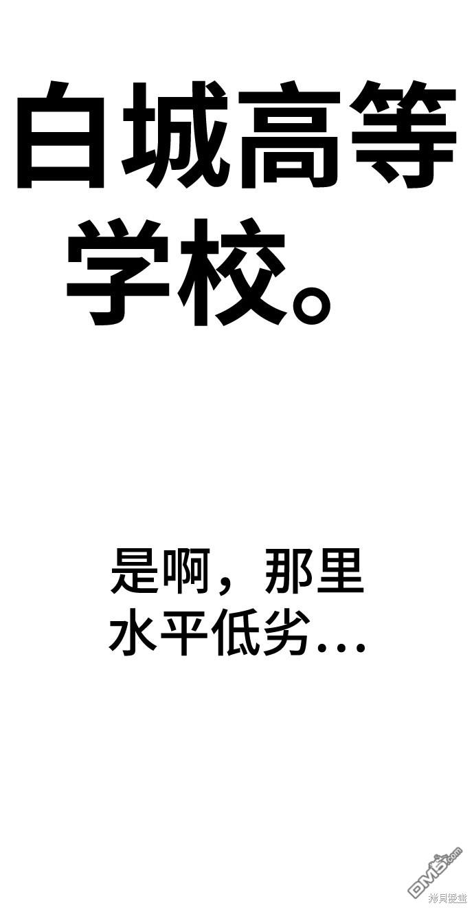 113.jpg