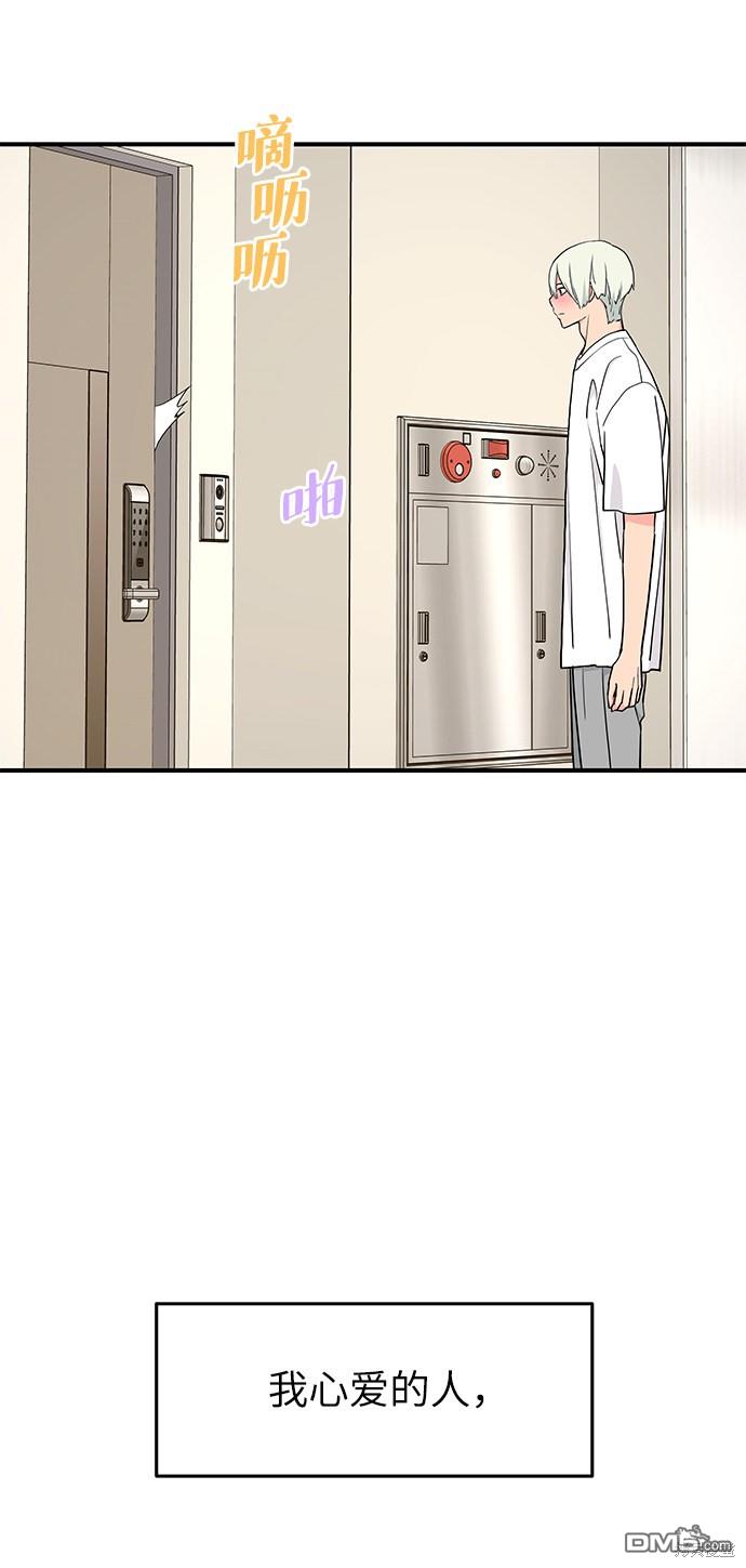 48.jpg