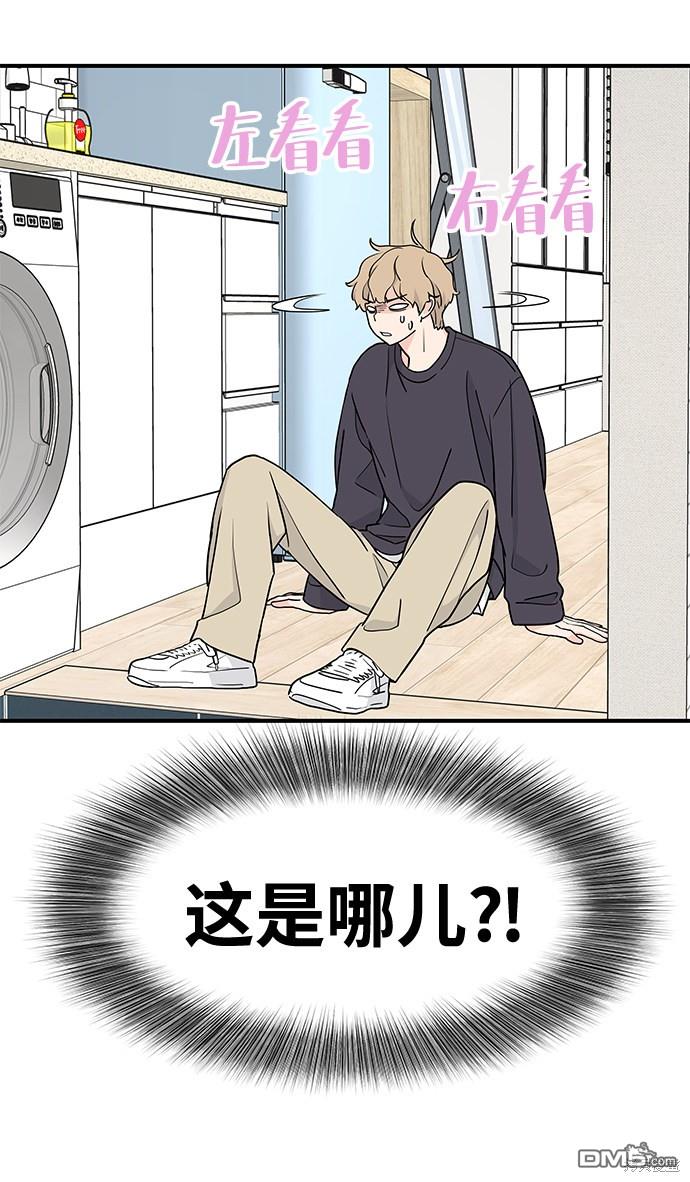 61.jpg