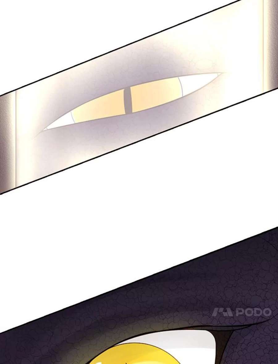96.jpg