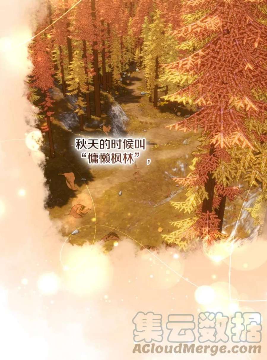 113.jpg