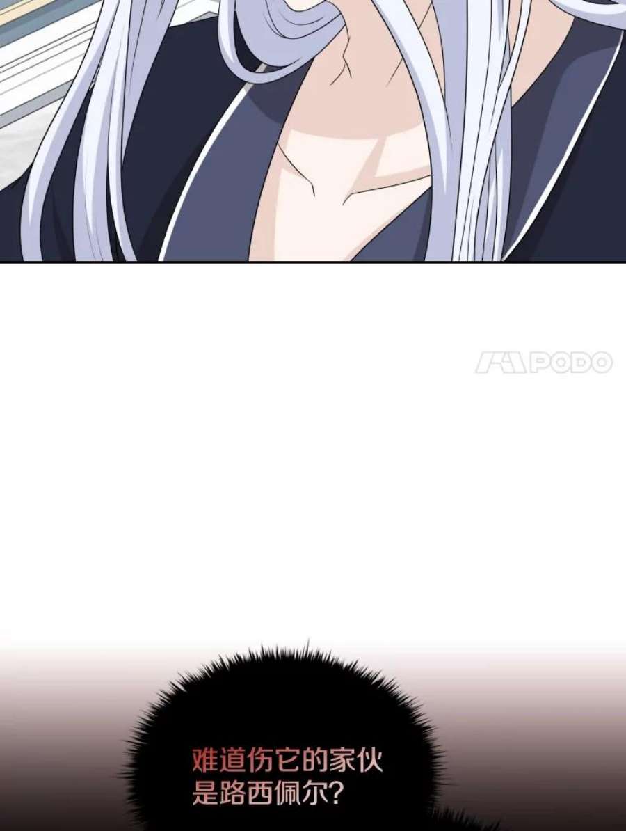 74.jpg