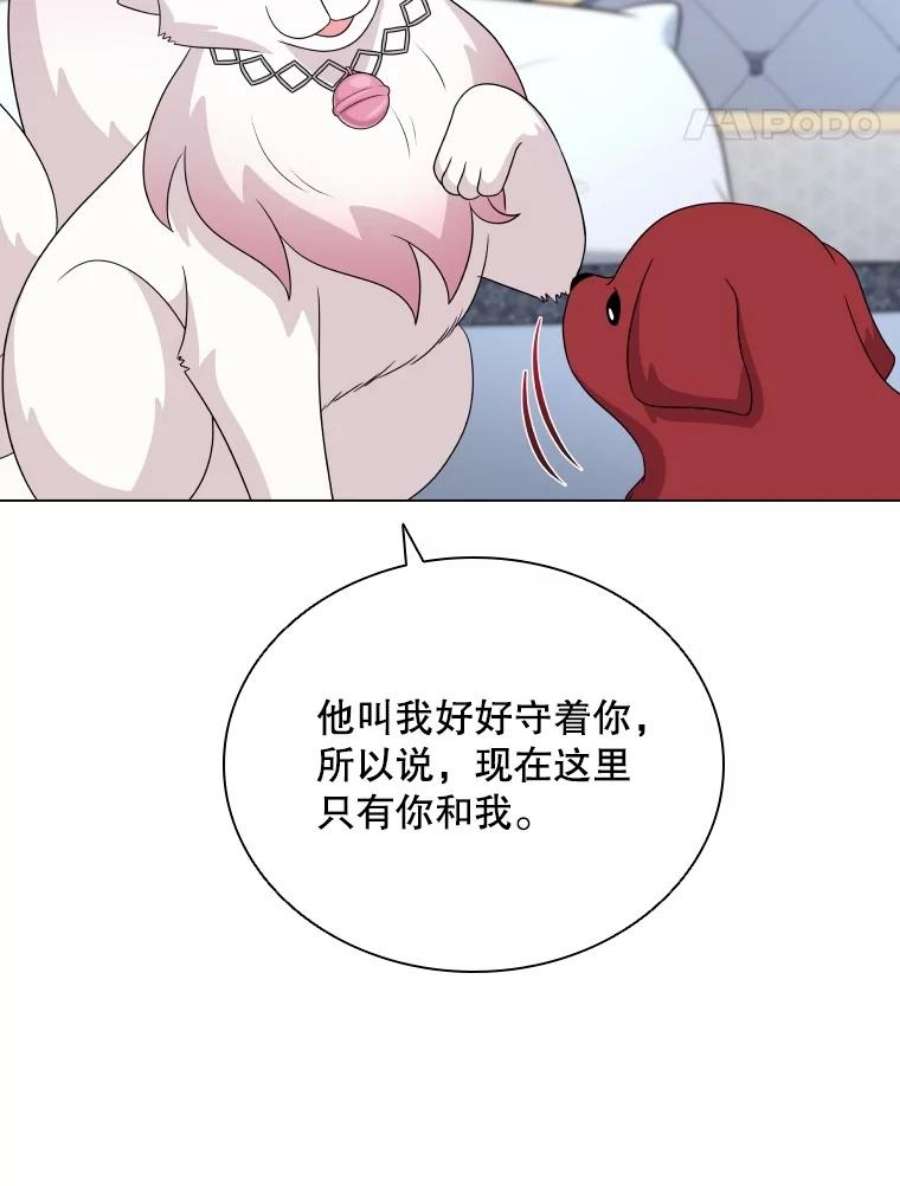 64.jpg