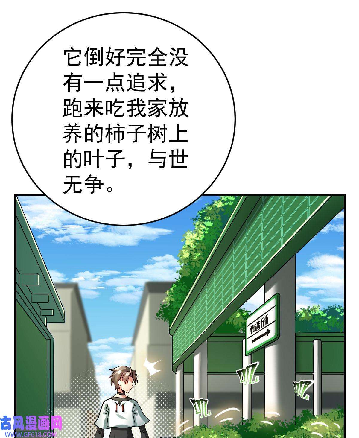 8.jpg