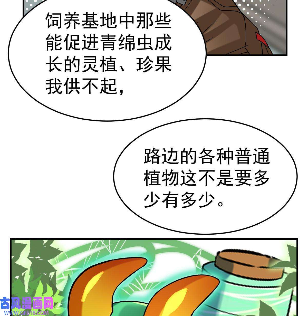 13.jpg