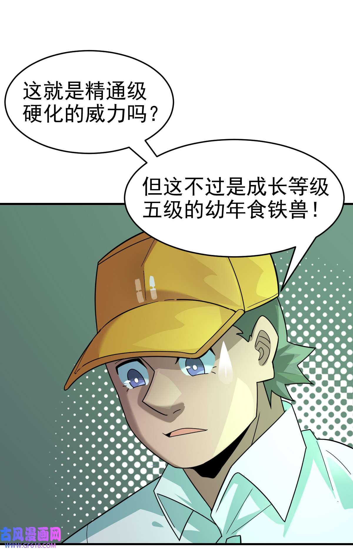 8.jpg