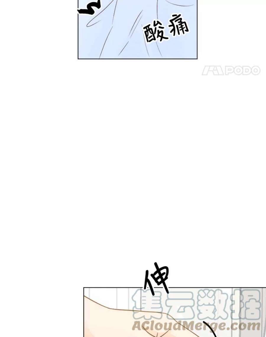 41.jpg