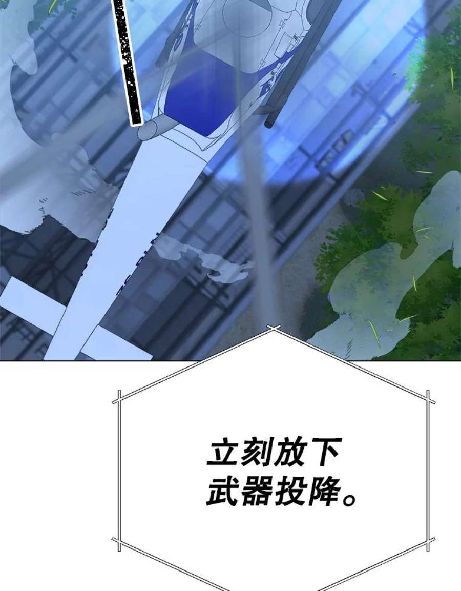 96.jpg