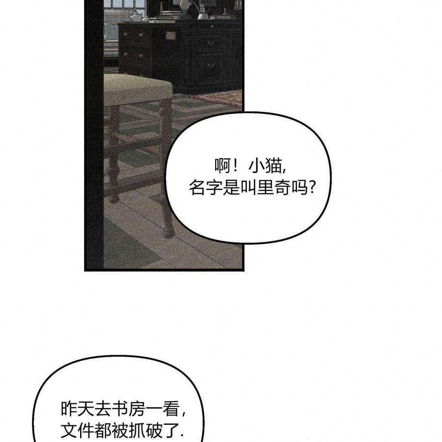 36.jpg
