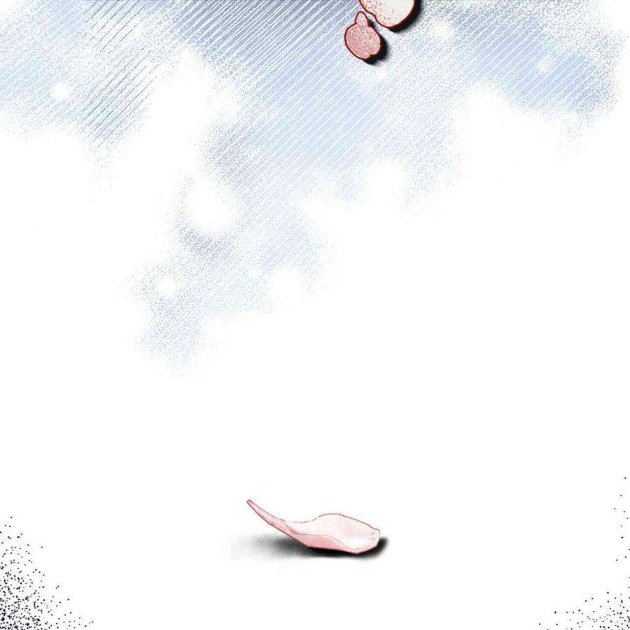 81.jpg
