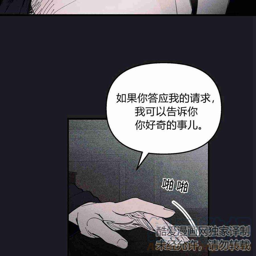 73.jpg