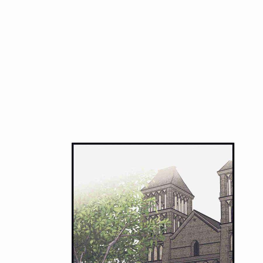 95.jpg