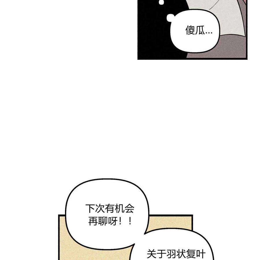 54.jpg